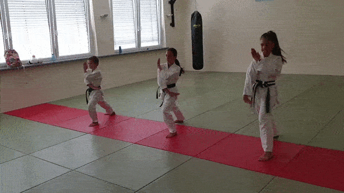 GIF Karatetechnik - Karateschule Scholze