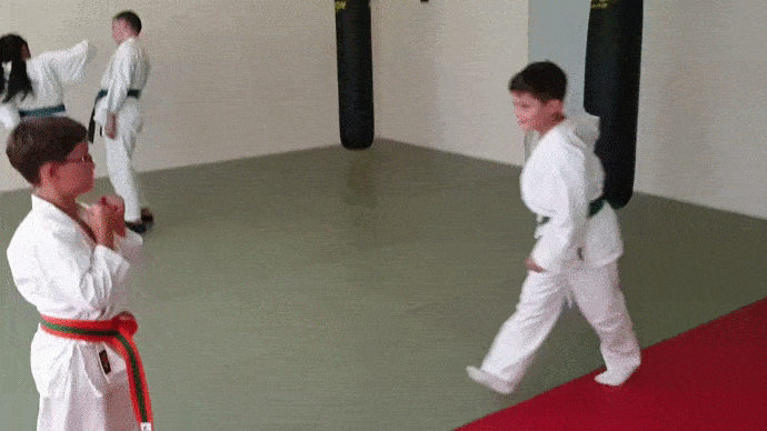 GIF Selbstverteidigung  - Karateschule Scholze