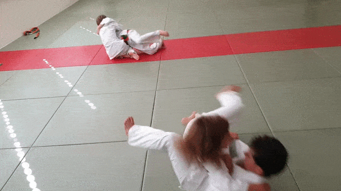 GIF Bodentechnik - Karateschule Scholze