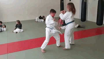 GIF Adaptionstechnik - Karateschule Scholze